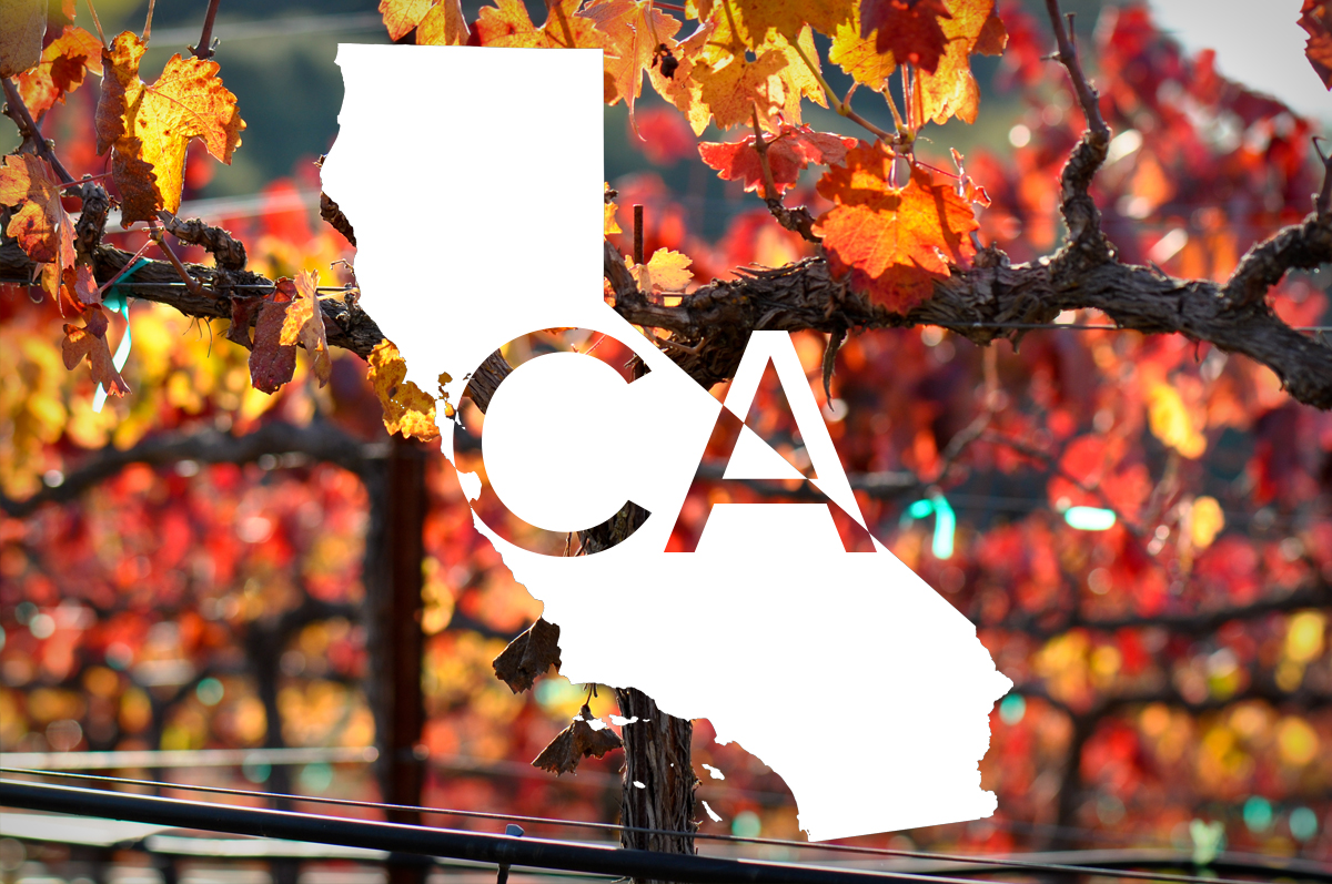 Silhouette of the state of California with "CA" written, overlaid on Autumn vineyards
