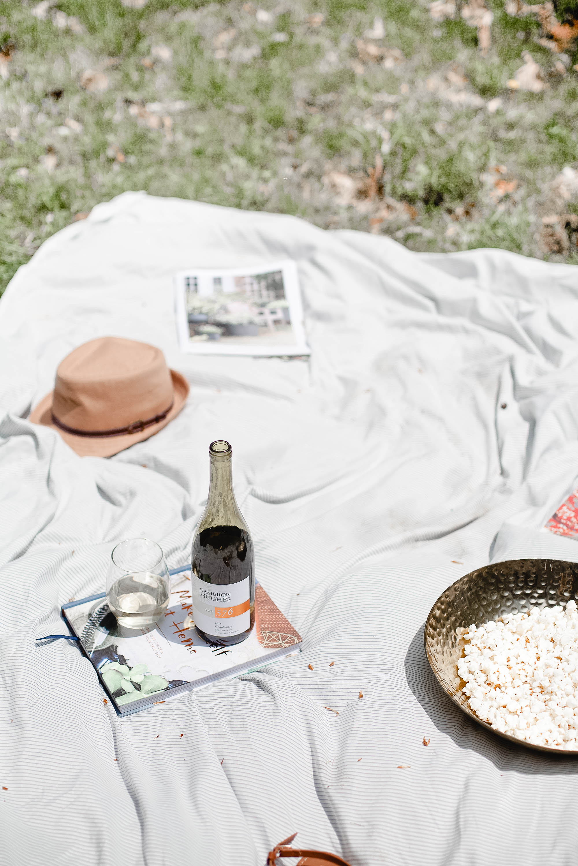 Picnic scene with wine paired with a nice book outdoors