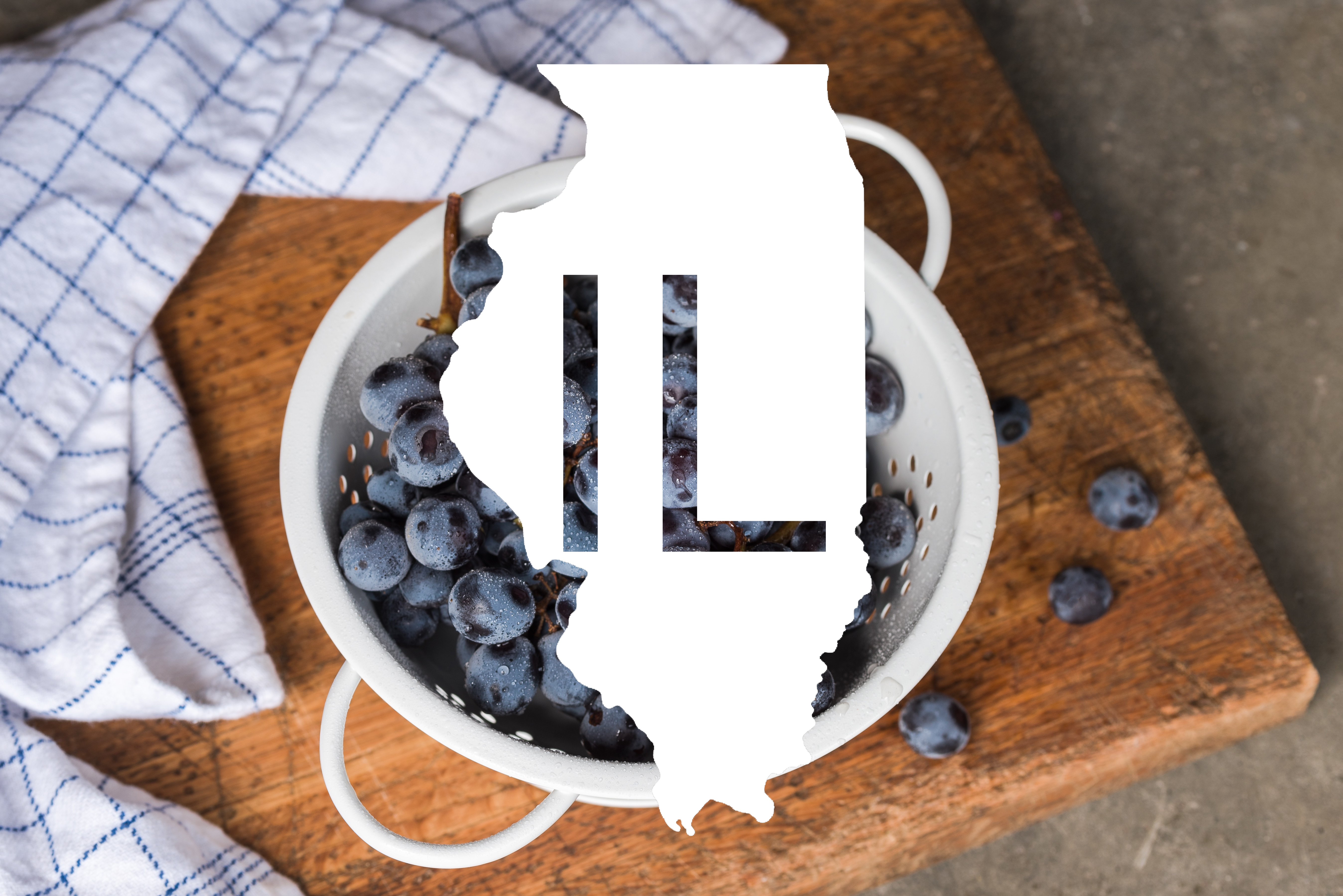 Map of Illinois over the top of a bowl of fresh blueberries, with IL written on it