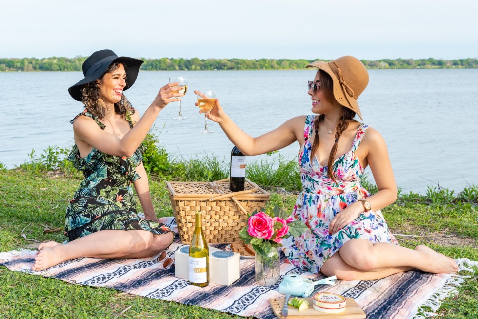 Two friends cheersing with white wine glasses on a picnic blanket next to a lake