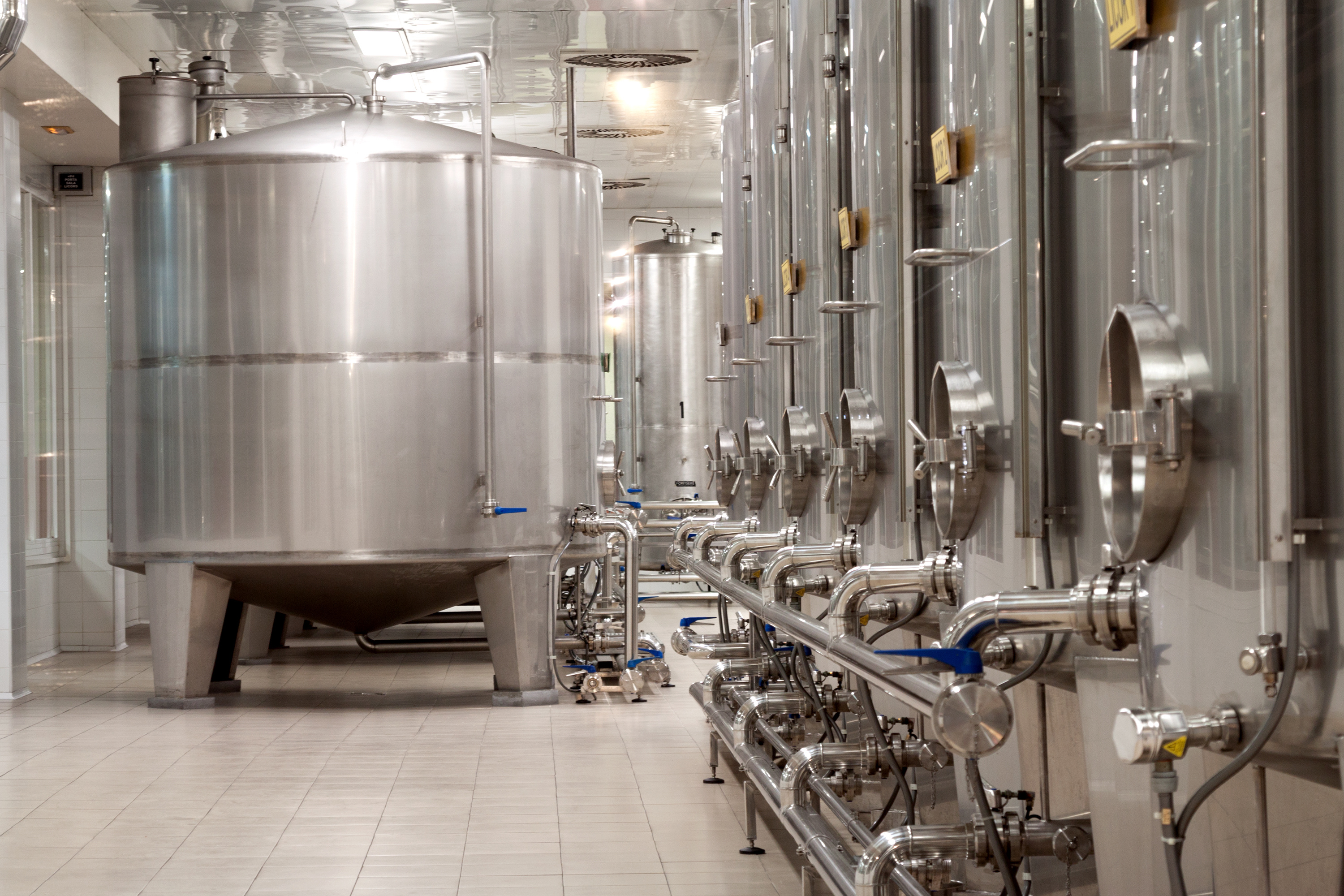 Modern wine production facility with stainless steel fermentation tanks