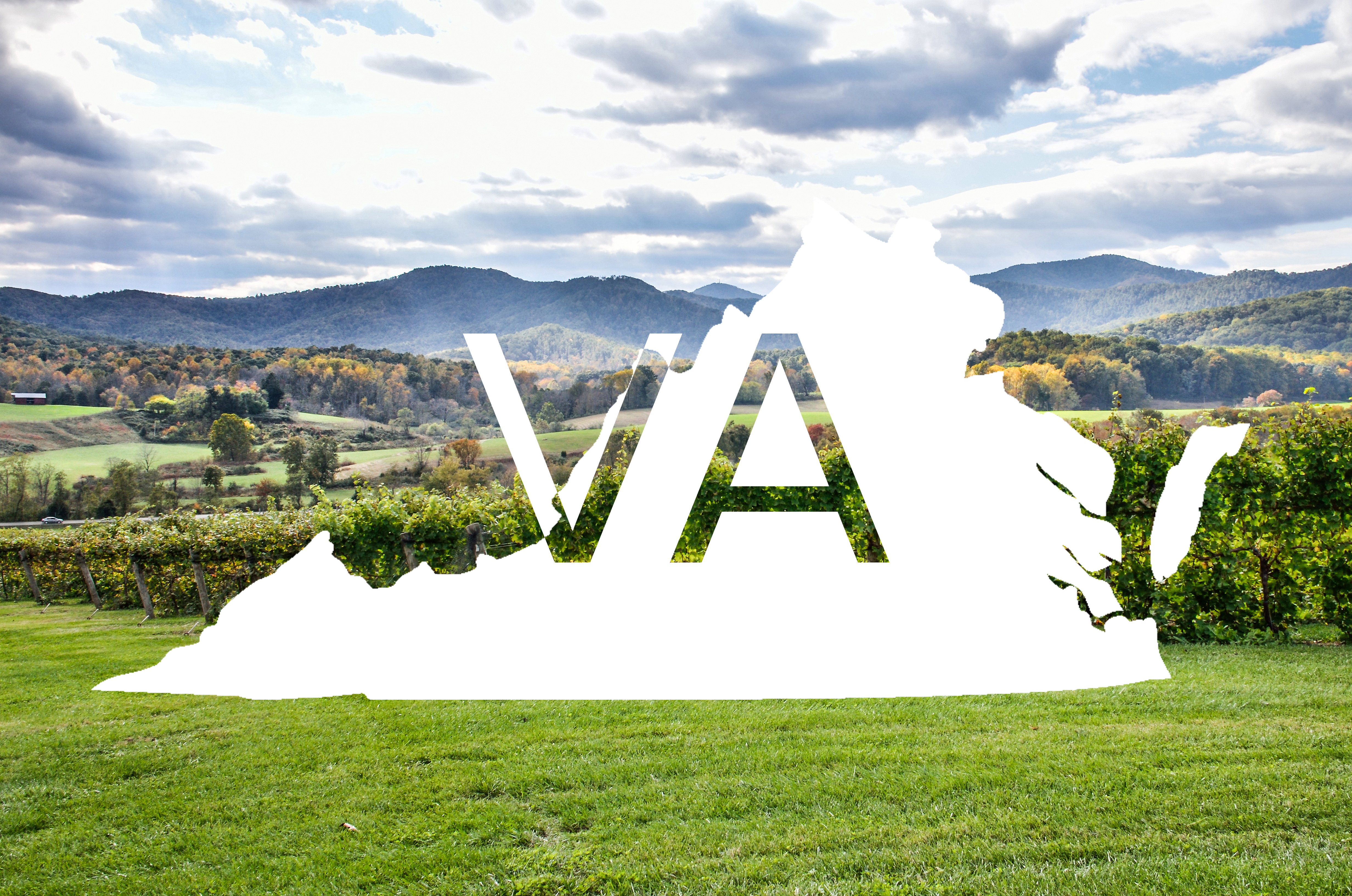 Silhouette of Virginia state with "VA" written overlaid over a wine region in Virginia