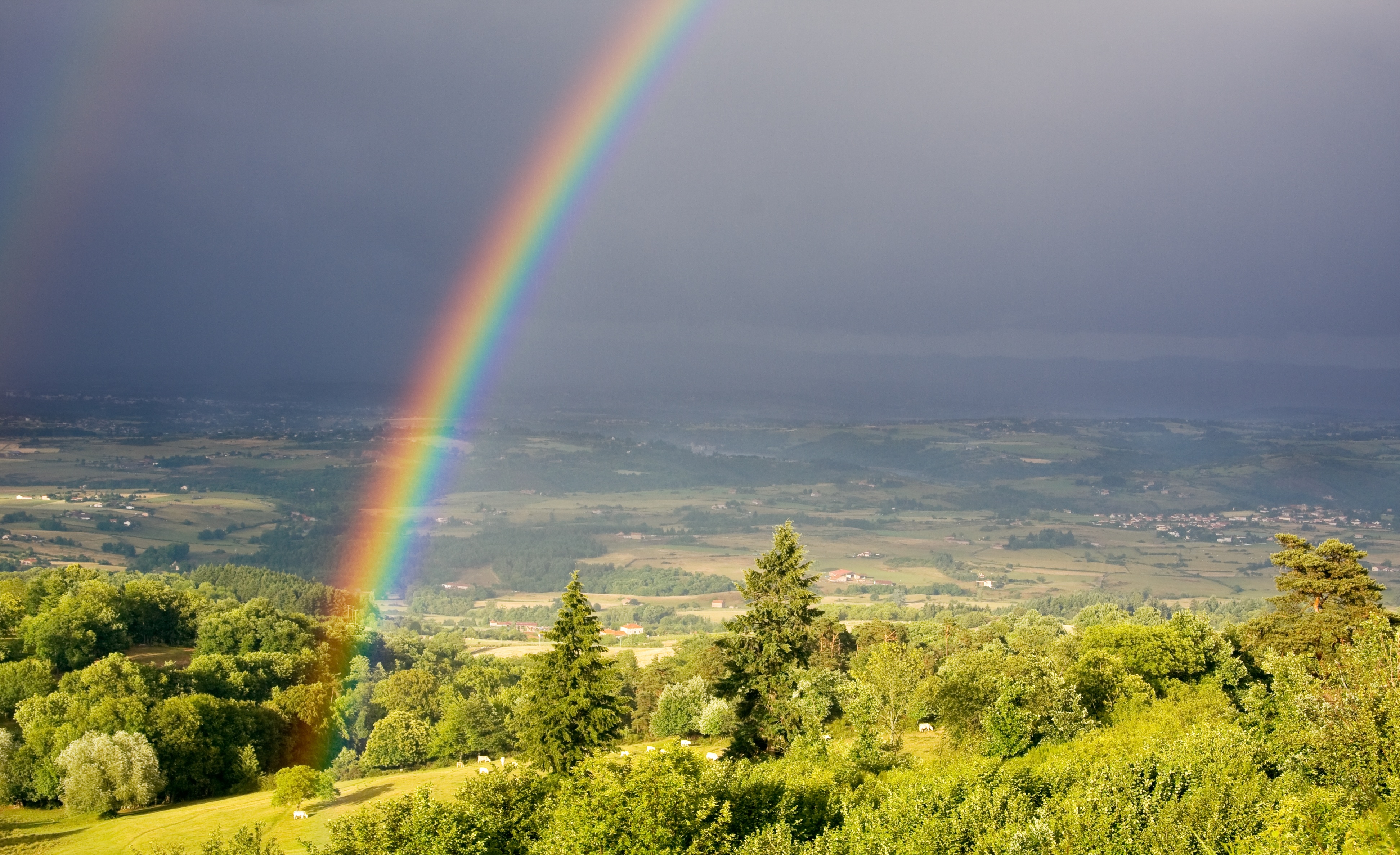 Rainbow over a vineyard illustrating terroir in wine