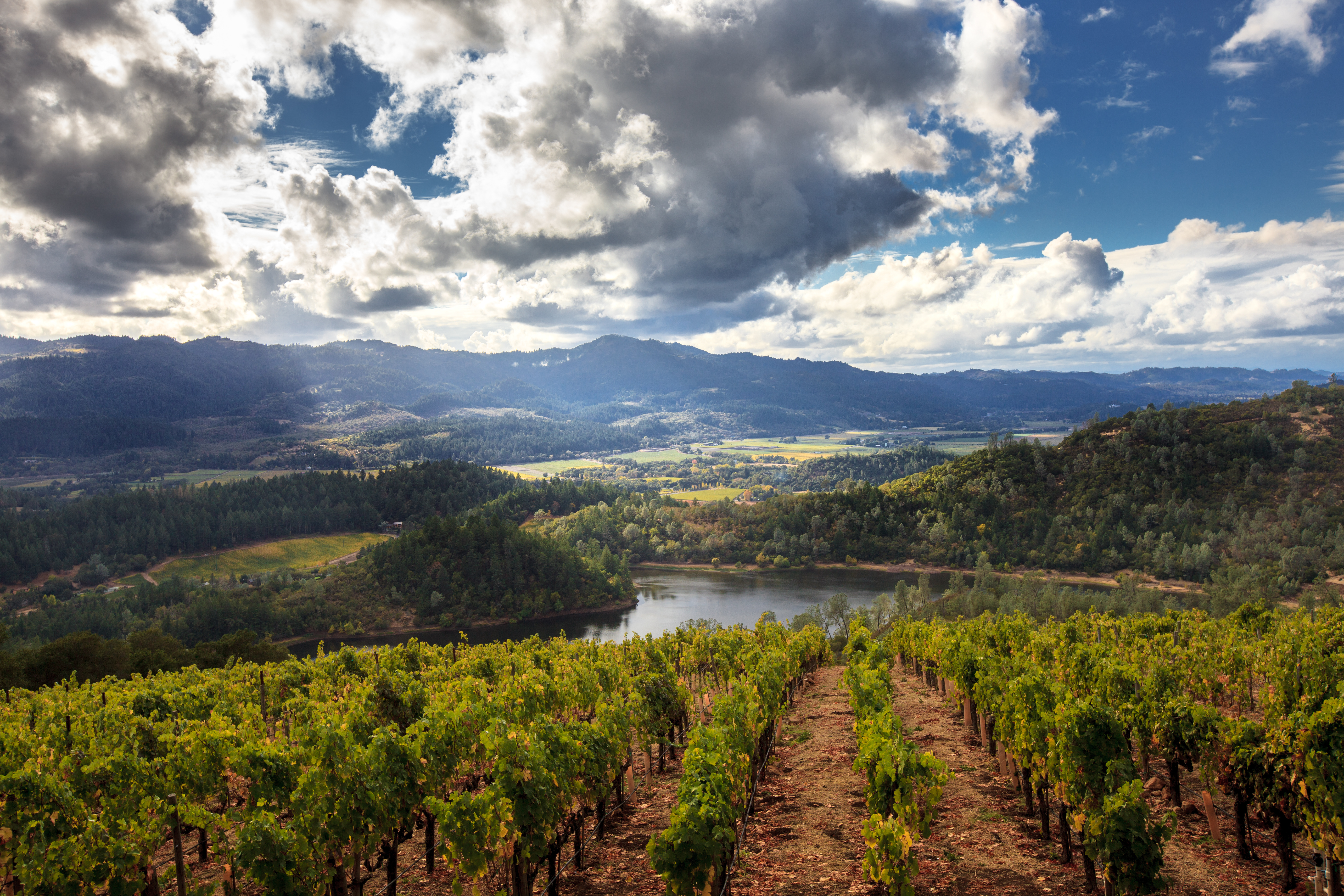 Panorama of Howell Mountain, Napa Valley wine country in autumn. Sun and clouds at a Napa, California vineyard with mountains, valleys and lake.