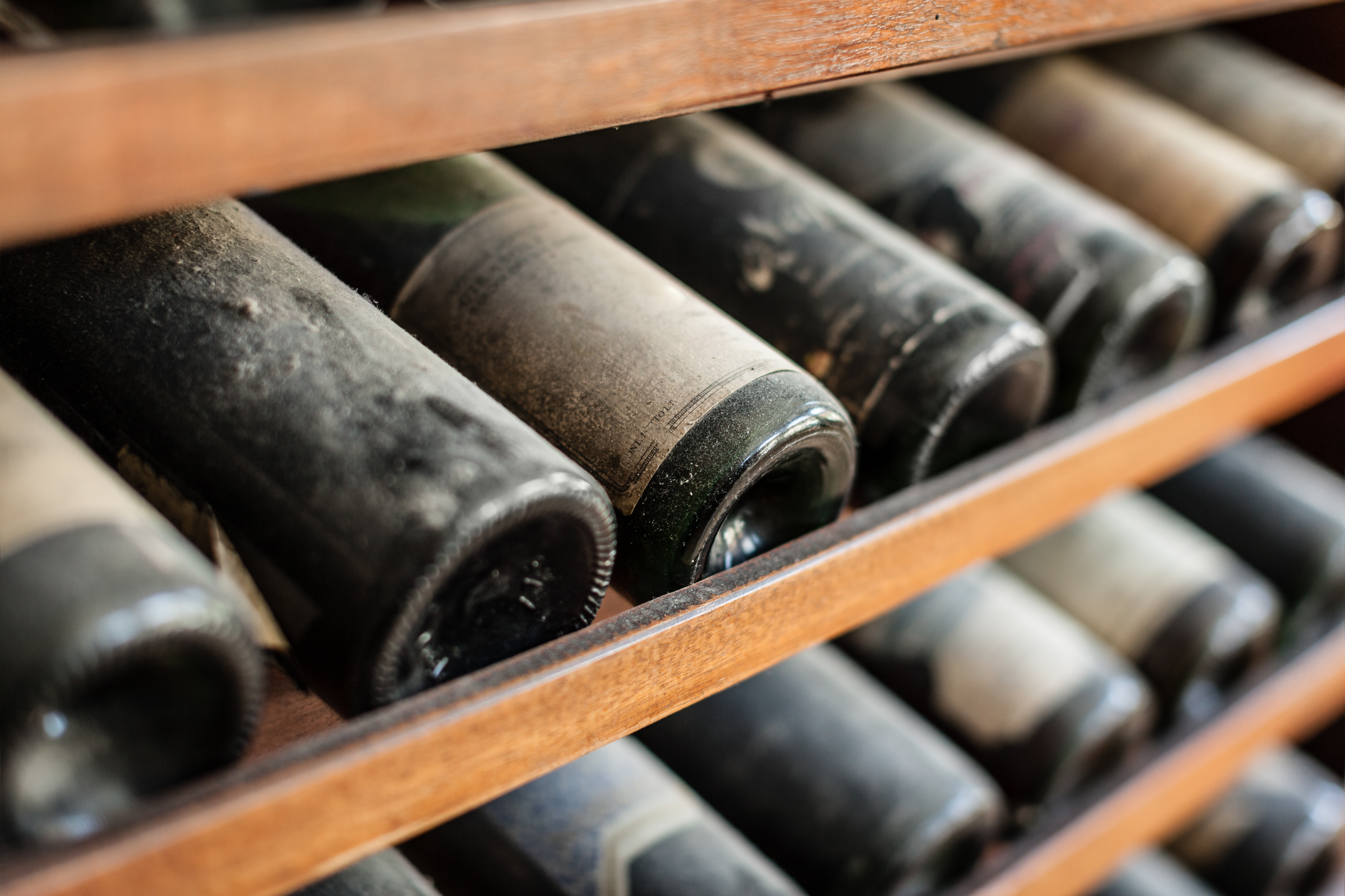 Ancient wine bottles with dust on a wine rack