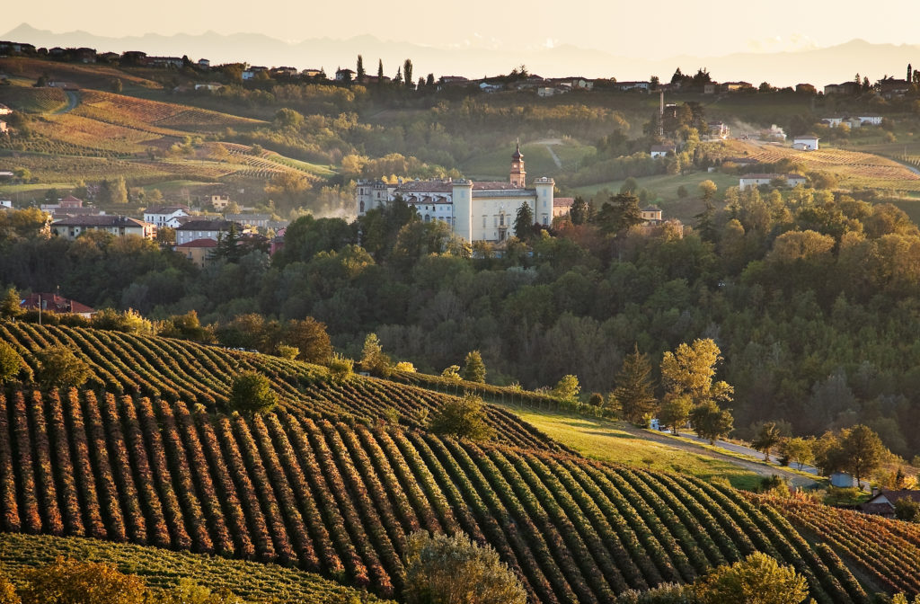 Understanding Italy: Piemonte - Wine: Decoded