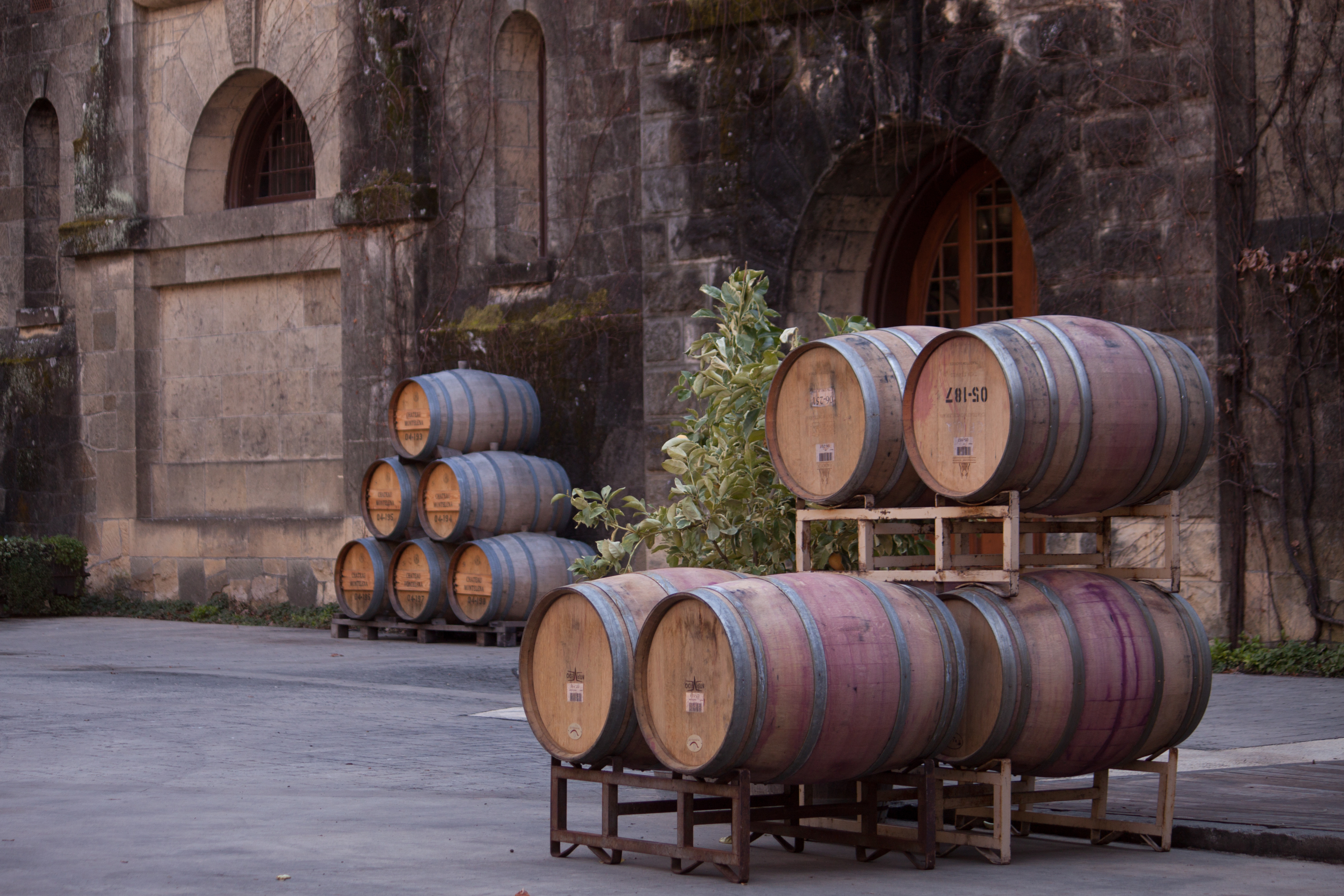 AOC wine barrels in front of cellar in France