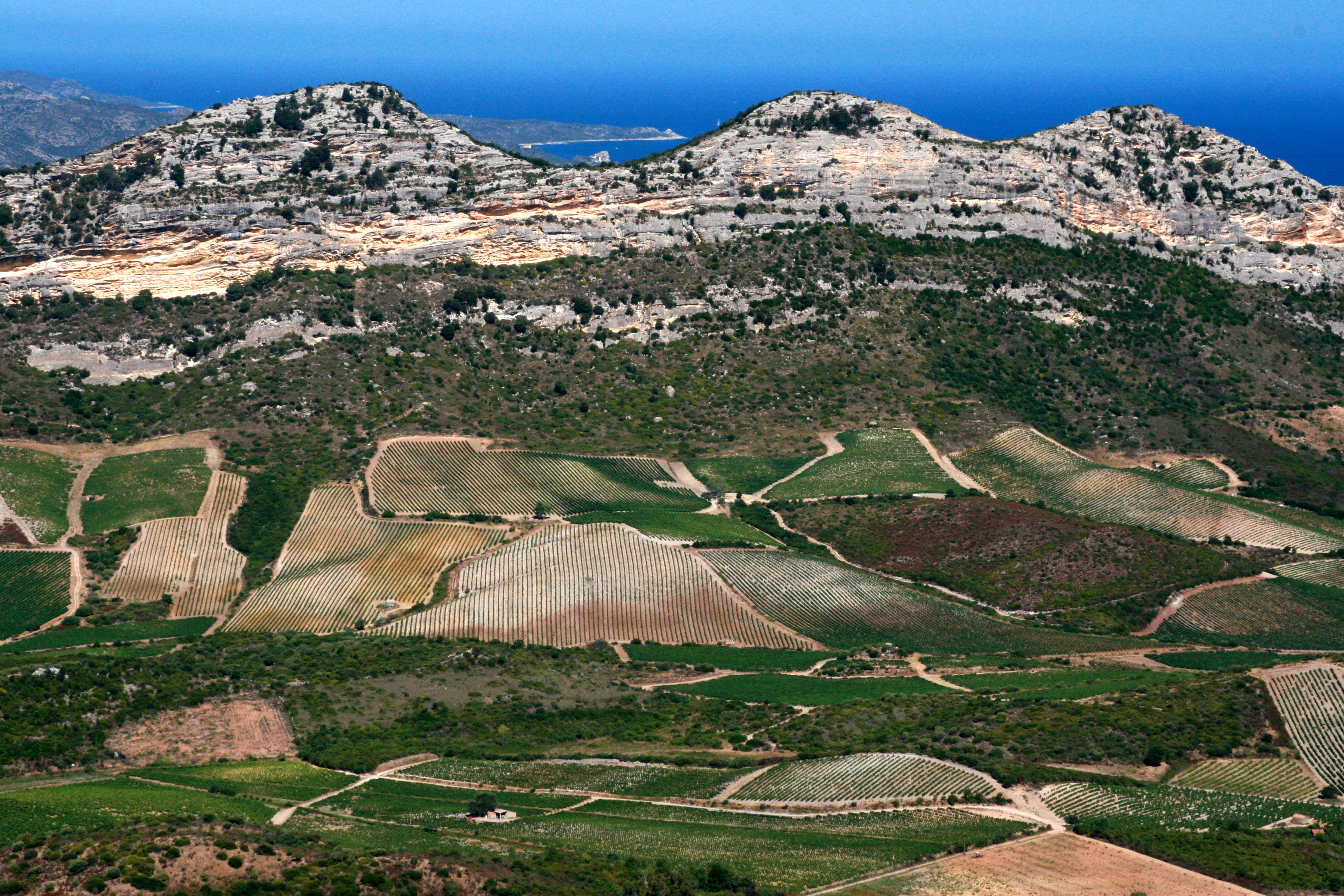 Corsica Wine region landscape panorama