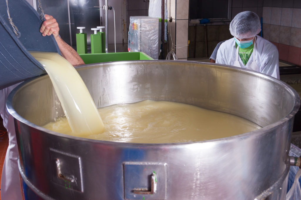 Water and yeasts are mixed with the cheese and rind mash before inoculation begins and allowed to interact with each other in stainless steel tanks
