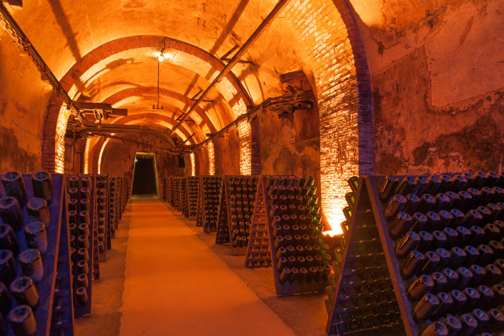 Champagne cave in France with thousands of sparkling wine bottles
