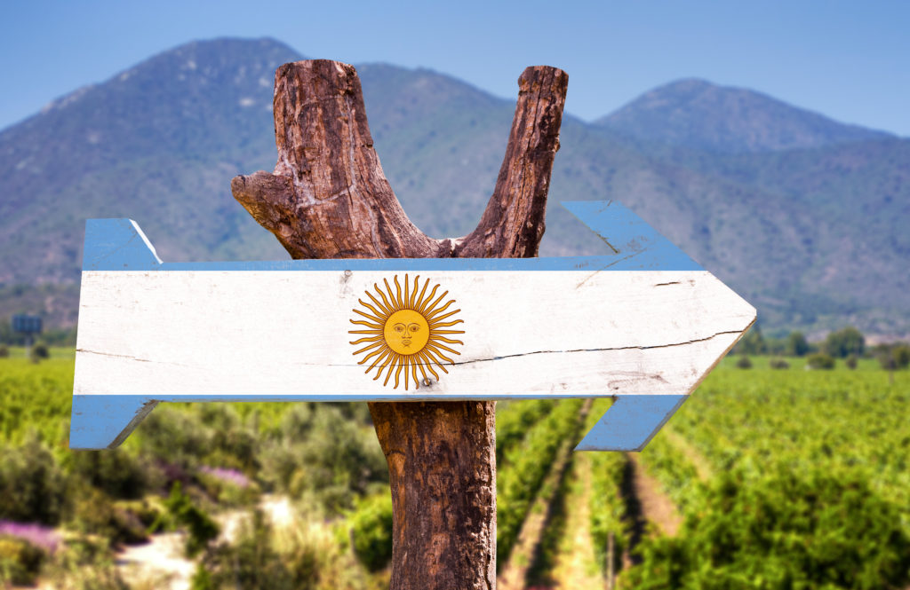 A sign posted to a Malbec vine resembling the Argentinian flag with a sun face and blue and white stripes