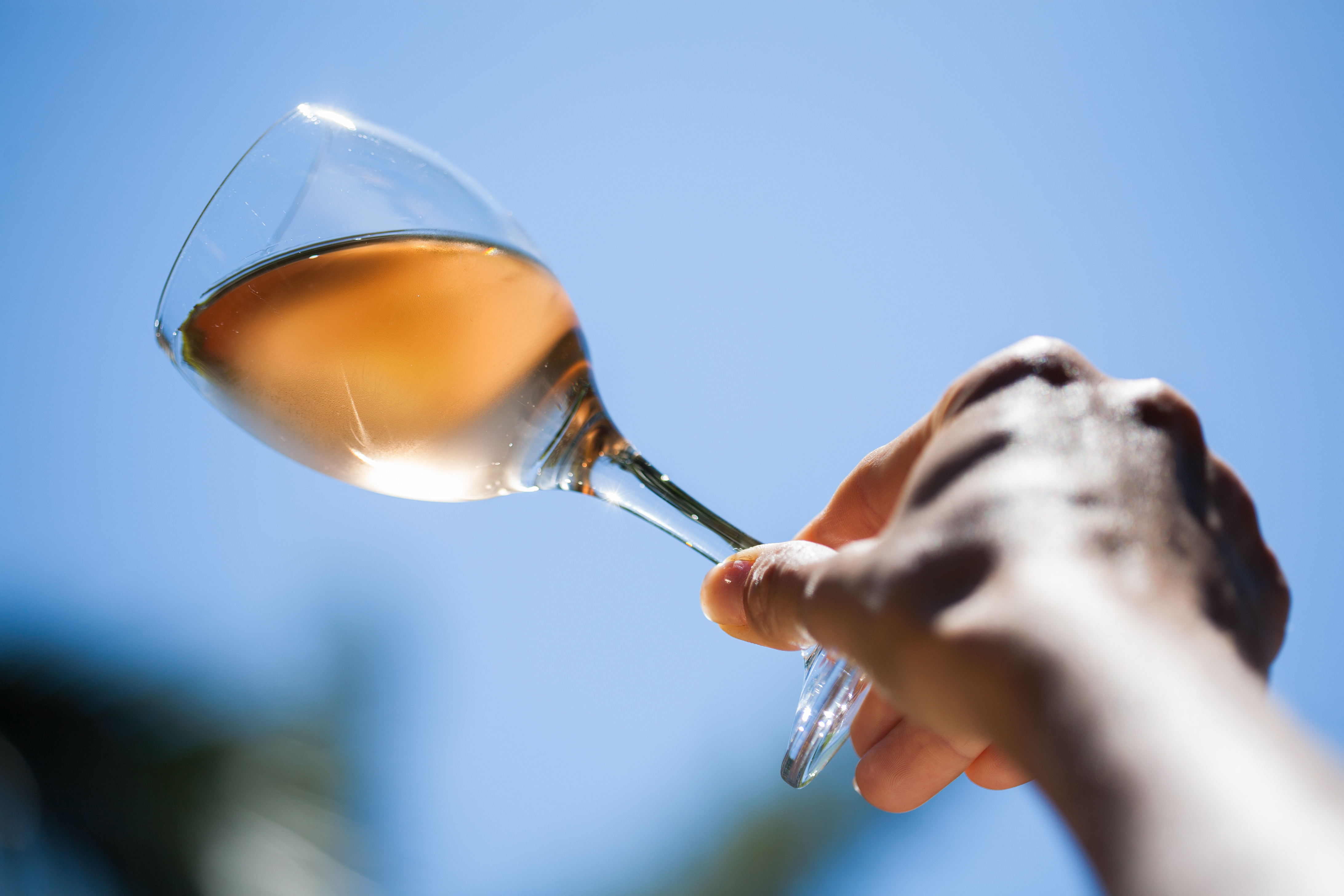 Woman holding up a rose wine glass against the sky to analyze the wine's color profile