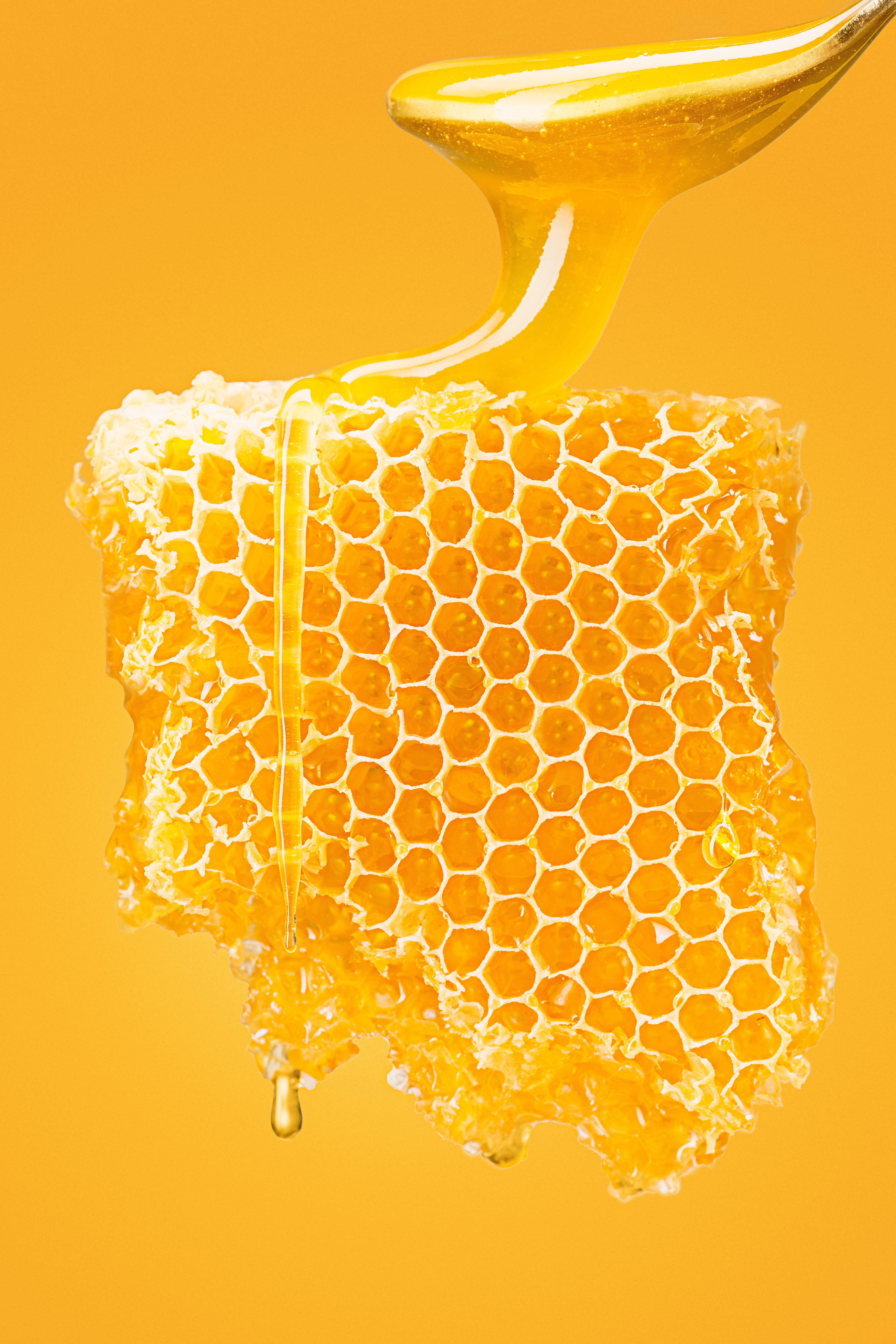 Sweet honeycomb on yellow with fresh honey spooned over the comb