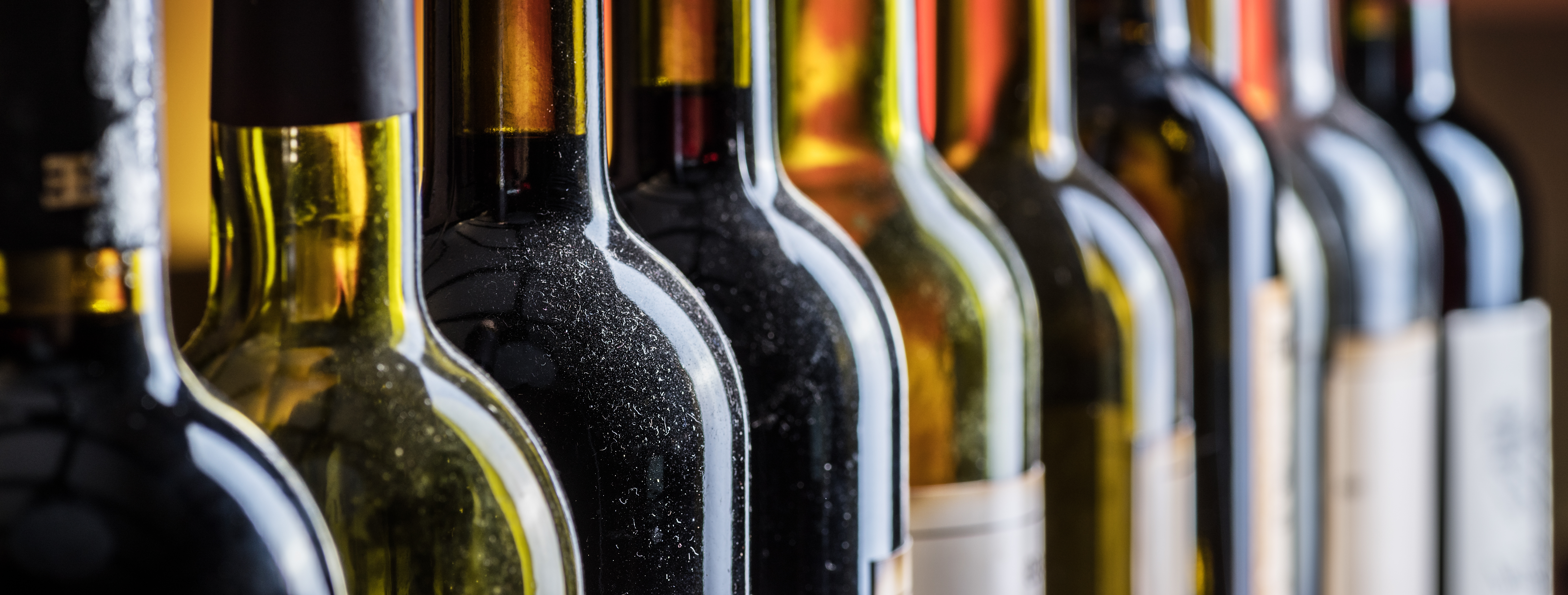 Wine bottle lineup from the cellar with each bottle dusty and a mix of red and white wines