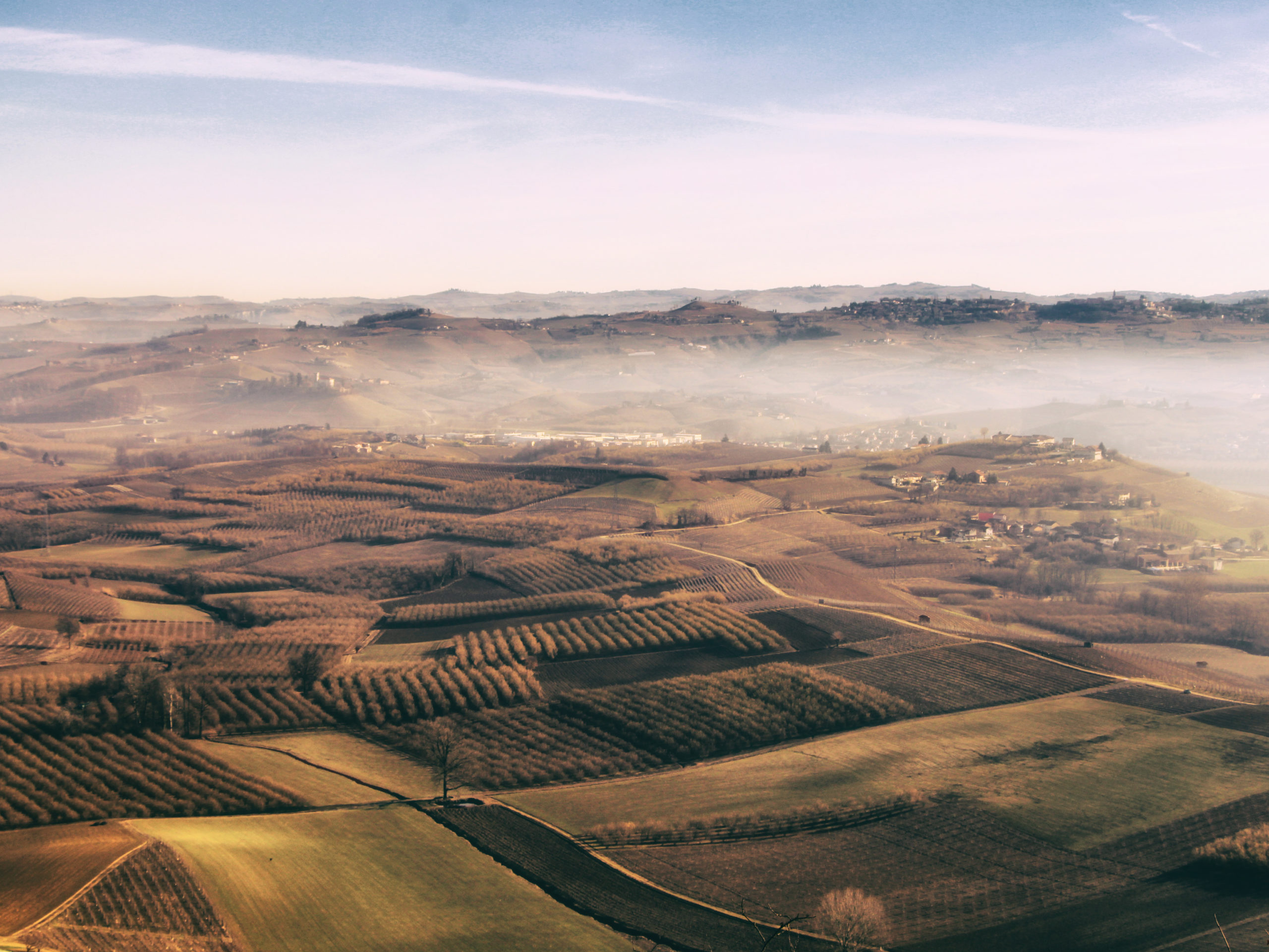 Wine vineyards and rolling hills in Langhe on a winter day